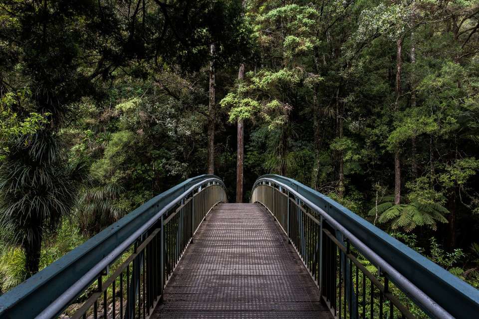 A long, narrow bridge to where?